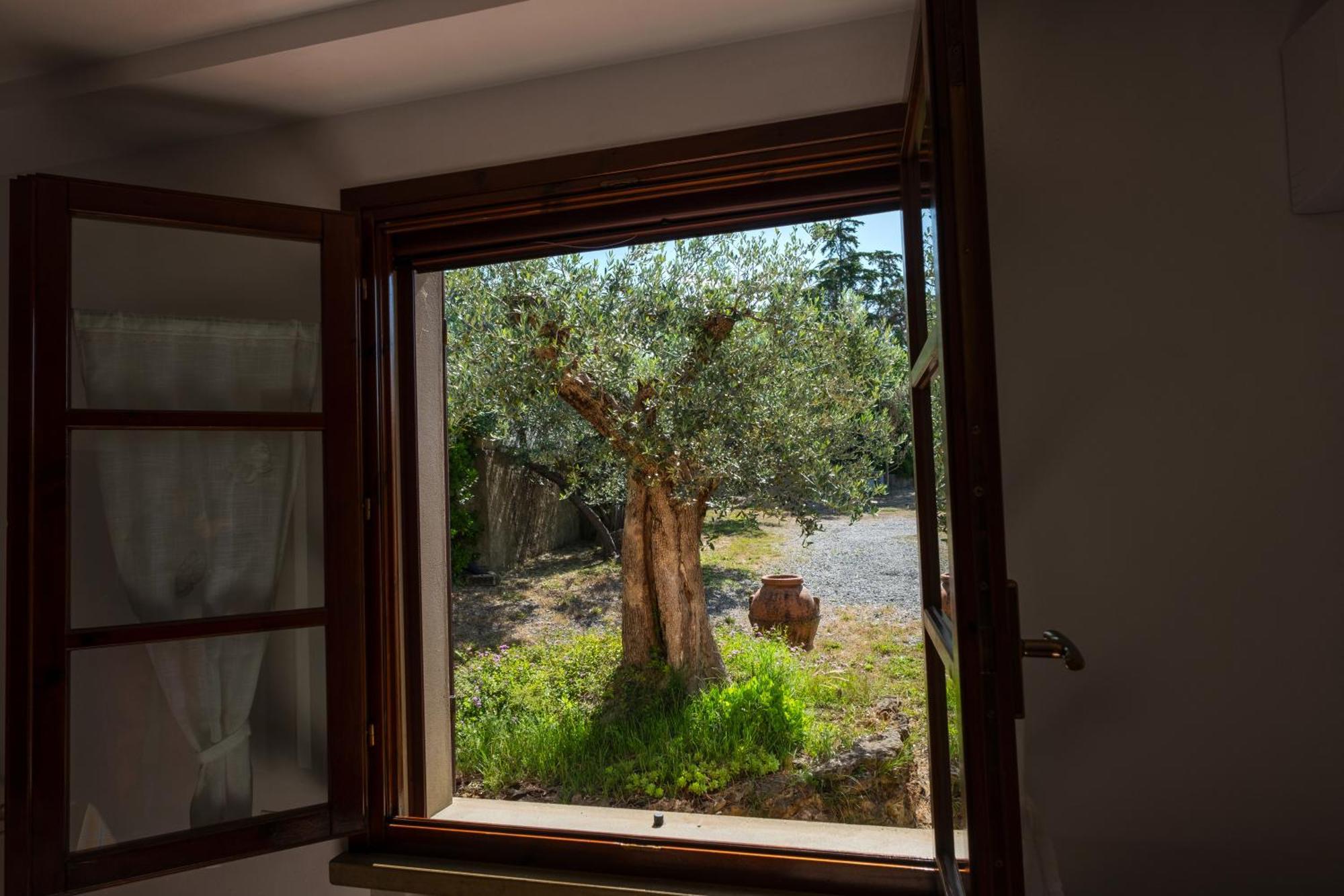Agriturismo I Cerroni Montescudaio Εξωτερικό φωτογραφία